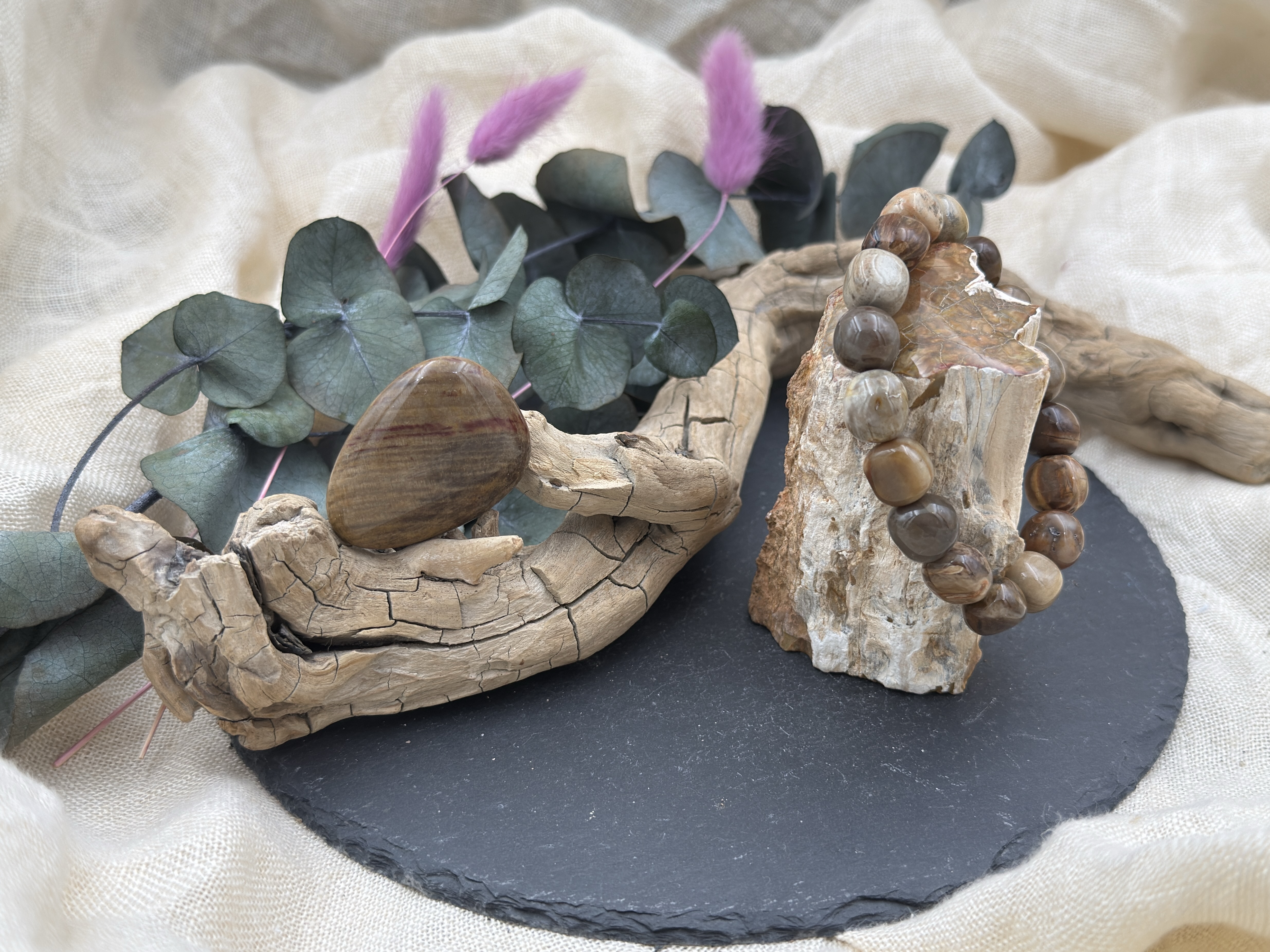 Versteinertes Holz